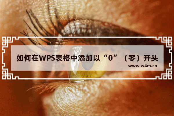 如何在WPS表格中添加以“0”（零）开头的数字