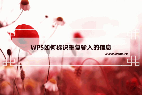 WPS如何标识重复输入的信息