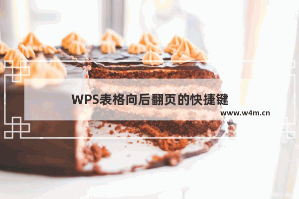 WPS表格向后翻页的快捷键