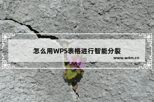 怎么用WPS表格进行智能分裂