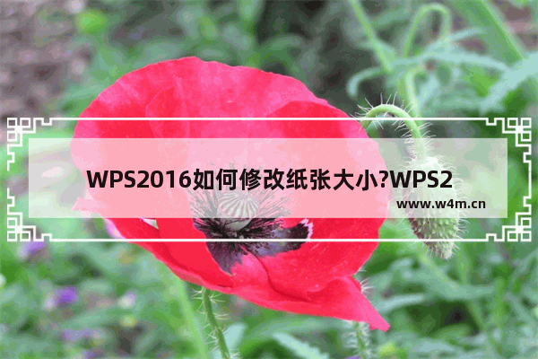 WPS2016如何修改纸张大小?WPS2016修改纸张大小的方法教程