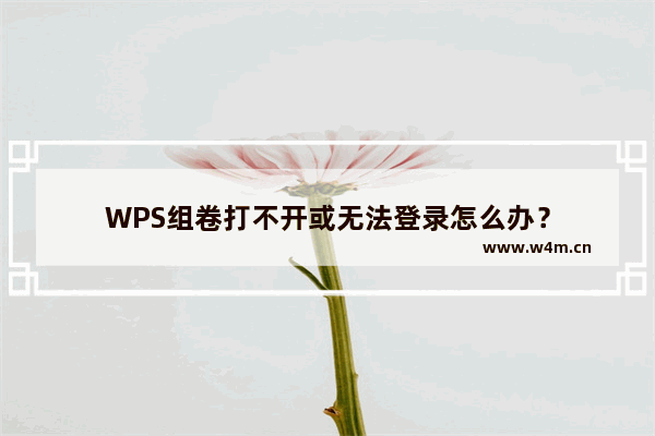 WPS组卷打不开或无法登录怎么办？