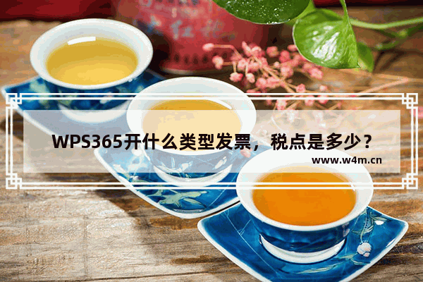 WPS365开什么类型发票，税点是多少？