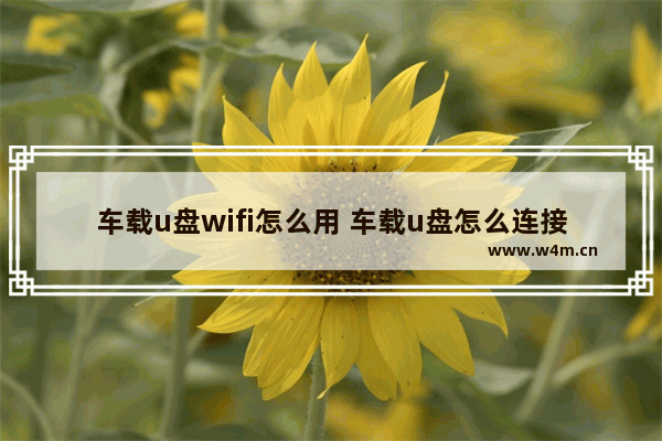 车载u盘wifi怎么用 车载u盘怎么连接汽车如何读取