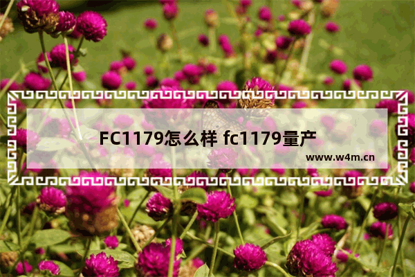 FC1179怎么样 fc1179量产