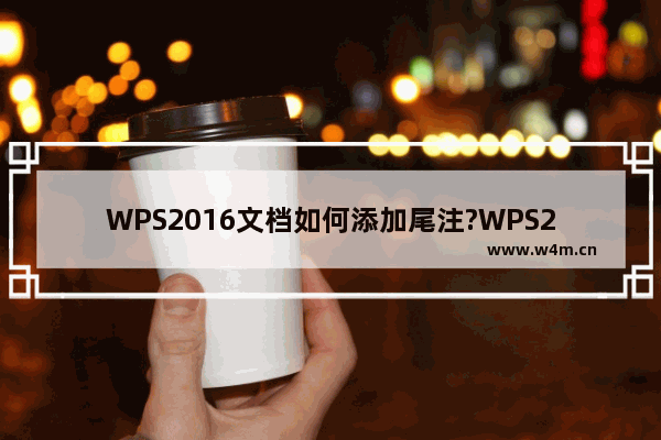 WPS2016文档如何添加尾注?WPS2016文档添加尾注的方法教程