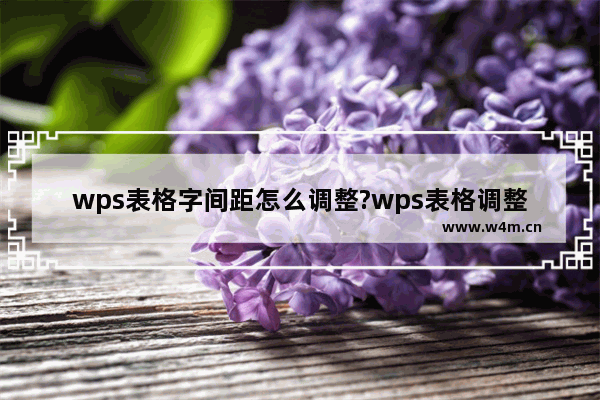 wps表格字间距怎么调整?wps表格调整字间距的方法教程