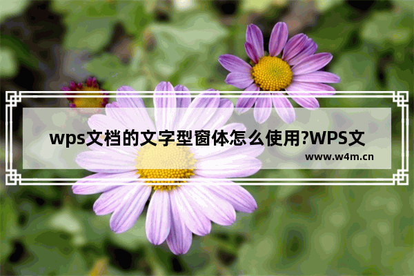 wps文档的文字型窗体怎么使用?WPS文档中文字型窗体的使用方法