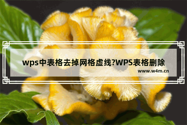 wps中表格去掉网格虚线?WPS表格删除网格虚线的方法技巧