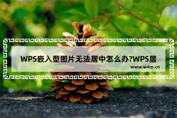 WPS嵌入型图片无法居中怎么办?WPS居中嵌入型图片的方法技巧