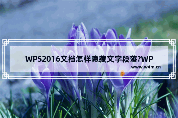 WPS2016文档怎样隐藏文字段落?WPS2016文档隐藏文字段落教程