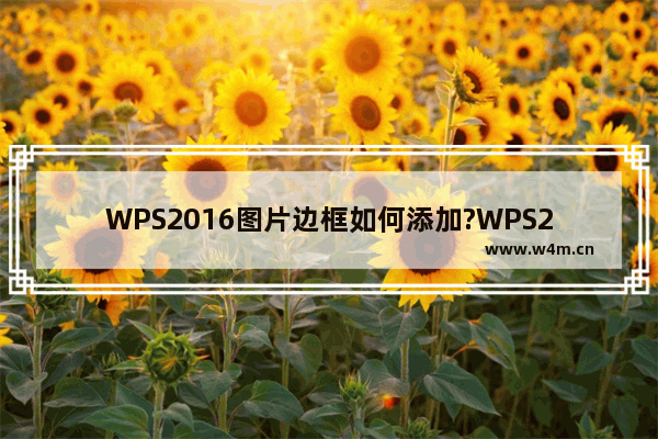 WPS2016图片边框如何添加?WPS2016添加图片边框的方法教程