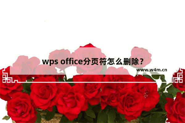 wps office分页符怎么删除？