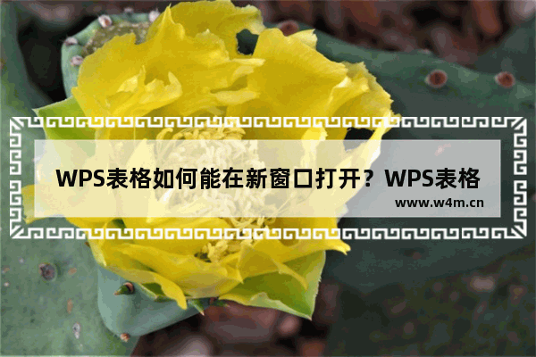 WPS表格如何能在新窗口打开？WPS表格打开新窗口的方法教程