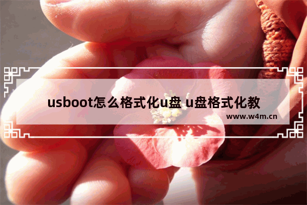 usboot怎么格式化u盘 u盘格式化教程