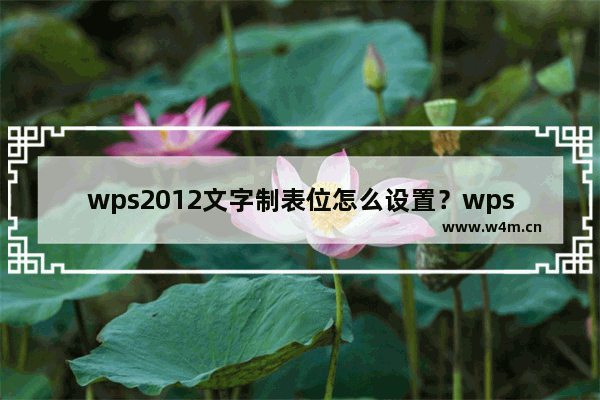 wps2012文字制表位怎么设置？wps2012文字制表位的使用方法