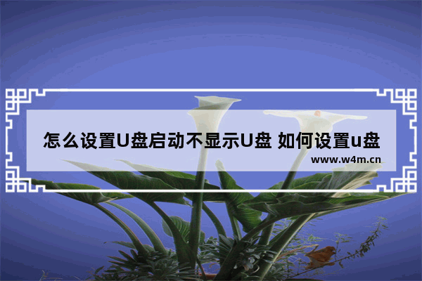 怎么设置U盘启动不显示U盘 如何设置u盘的图标不显示