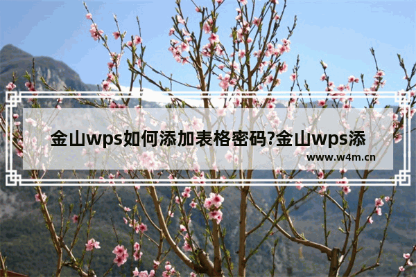 金山wps如何添加表格密码?金山wps添加表格密码方法教程