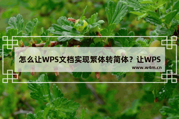 怎么让WPS文档实现繁体转简体？让WPS文档实现繁体转简体方法教程