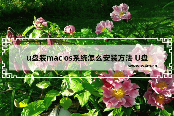 u盘装mac os系统怎么安装方法 U盘安装macOS系统方法详解