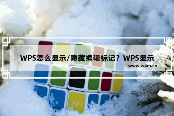 WPS怎么显示/隐藏编辑标记？WPS显示/隐藏编辑标记的方法