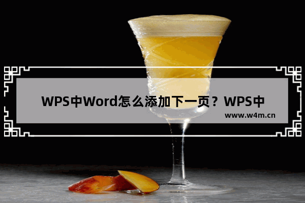 WPS中Word怎么添加下一页？WPS中Word添加下一页方法