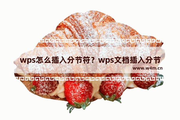 wps怎么插入分节符？wps文档插入分节符的方法技巧