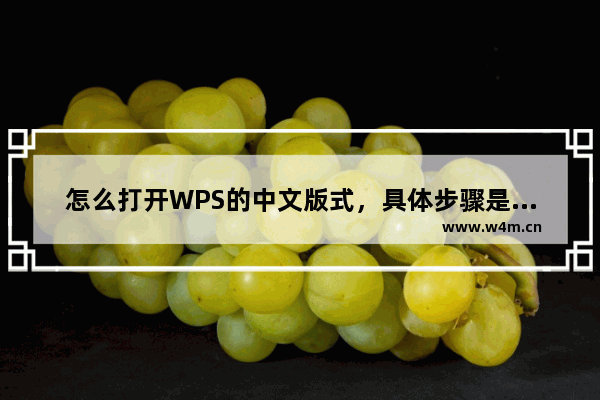 怎么打开WPS的中文版式，具体步骤是什么