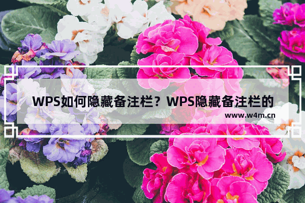 WPS如何隐藏备注栏？WPS隐藏备注栏的设置方法