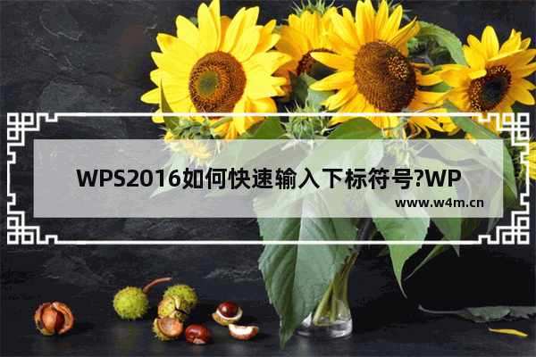 WPS2016如何快速输入下标符号?WPS2016快速输入下标符号教程