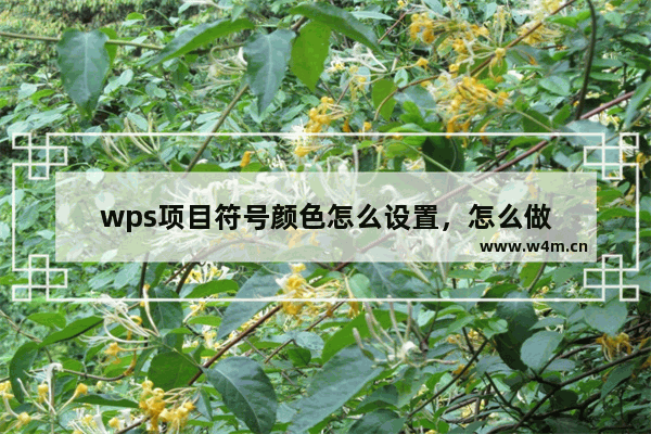 wps项目符号颜色怎么设置，怎么做