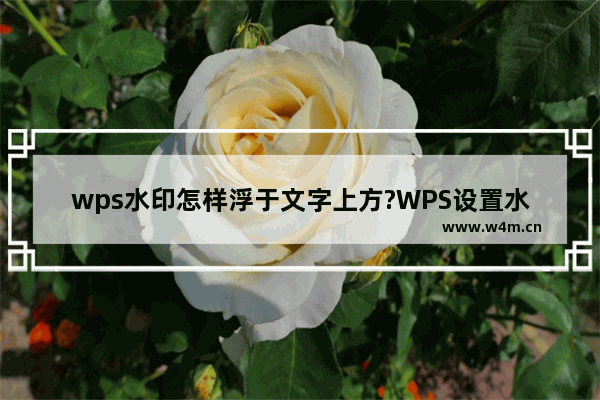 wps水印怎样浮于文字上方?WPS设置水印浮于文字上方的方法教程