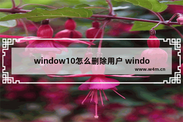 window10怎么删除用户 window10怎么删除用户密码