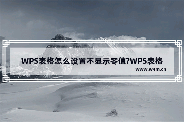 WPS表格怎么设置不显示零值?WPS表格设置不显示零值方法