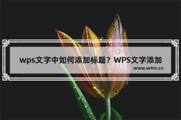 wps文字中如何添加标题？WPS文字添加标题的方法