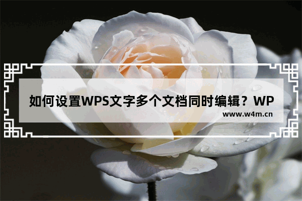 如何设置WPS文字多个文档同时编辑？WPS文字多个文档同时编辑设置方法