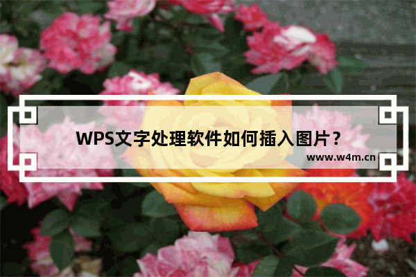 WPS文字处理软件如何插入图片？