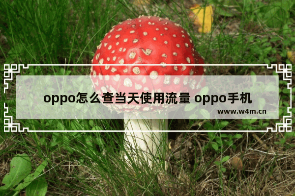 oppo怎么查当天使用流量 oppo手机怎么查当天流量使用详情