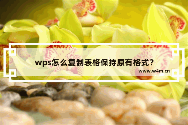 wps怎么复制表格保持原有格式？