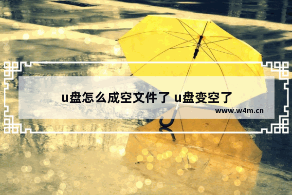 u盘怎么成空文件了 u盘变空了