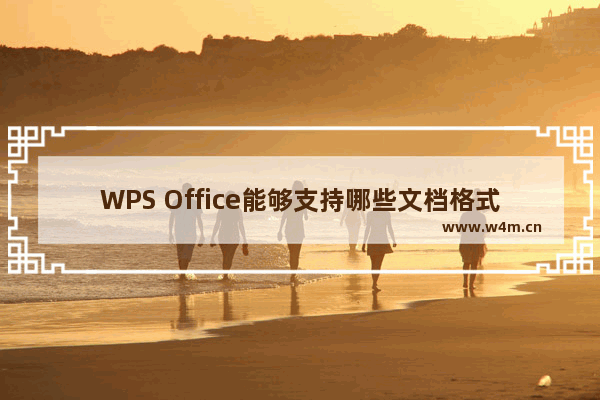 WPS Office能够支持哪些文档格式？