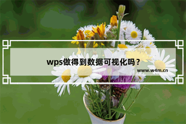 wps做得到数据可视化吗？