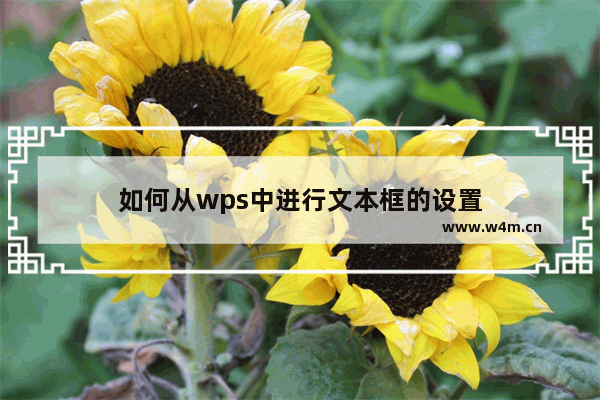 如何从wps中进行文本框的设置