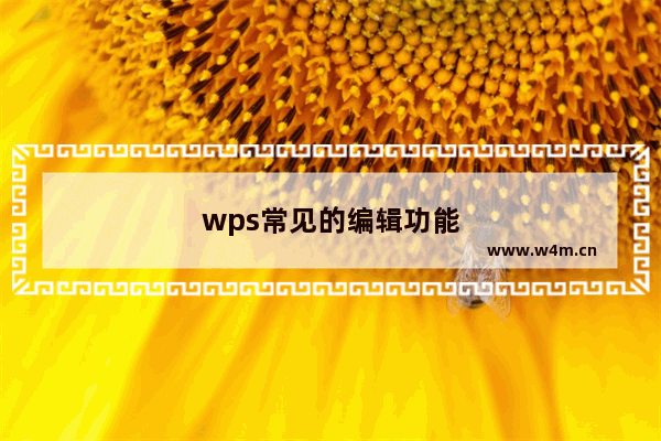 wps常见的编辑功能