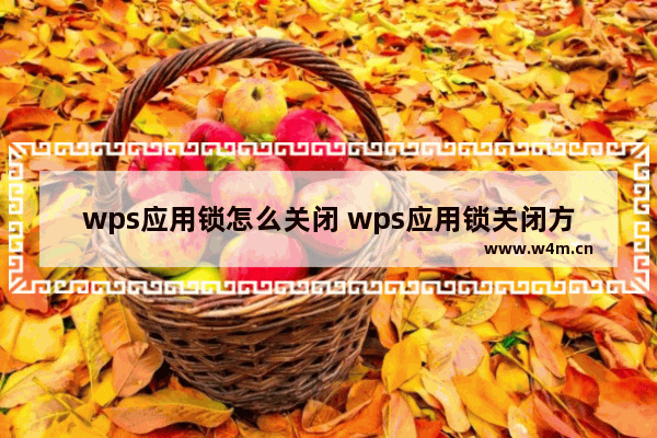 wps应用锁怎么关闭 wps应用锁关闭方法【详解】