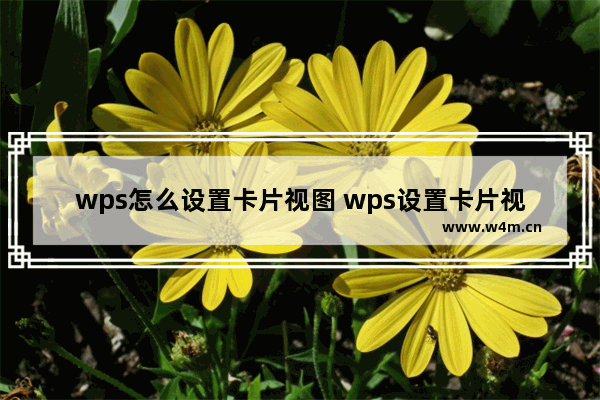 wps怎么设置卡片视图 wps设置卡片视图方法【详解】