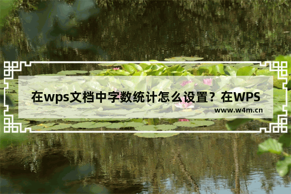 在wps文档中字数统计怎么设置？在WPS文档中如何实现字数统计？