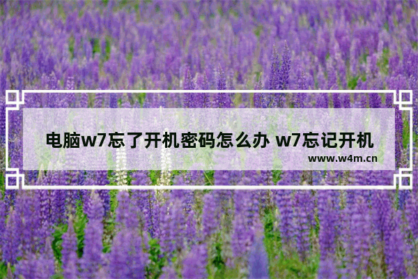 电脑w7忘了开机密码怎么办 w7忘记开机密码怎么开机