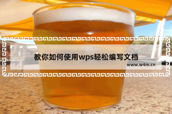 教你如何使用wps轻松编写文档