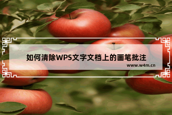 如何清除WPS文字文档上的画笔批注